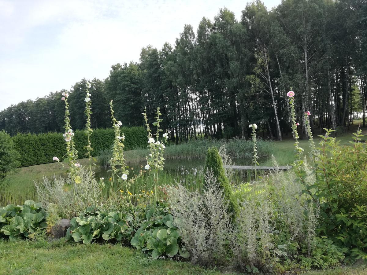 Lakeshore House Dvarcenai  Екстер'єр фото